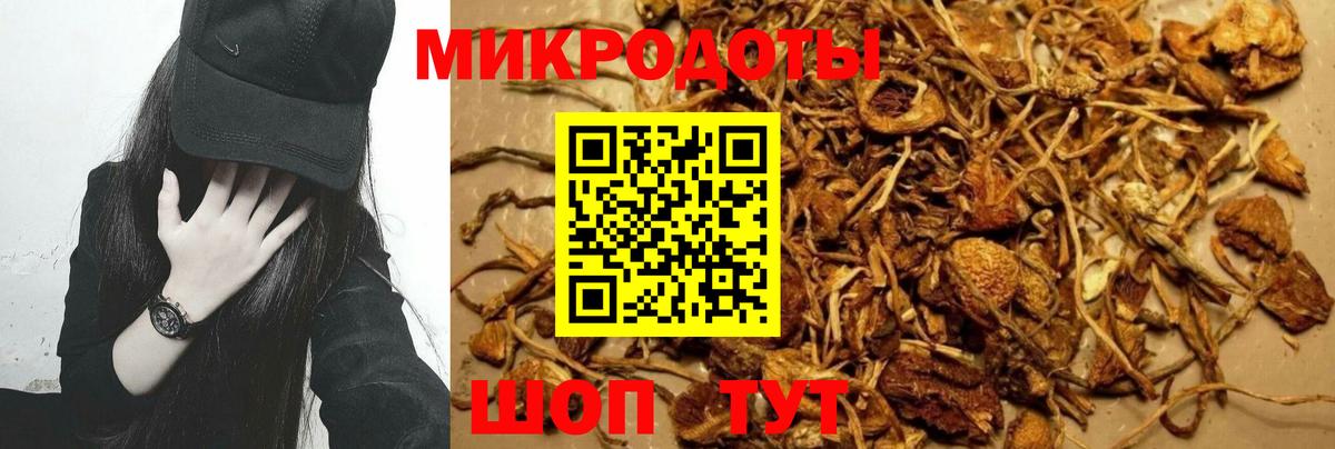 Псилоцибиновые грибы Magic Shrooms Гусиноозёрск